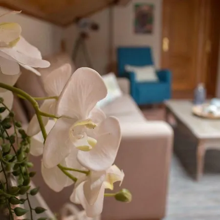 Turismo Casa Benito Vilanova de Arousa